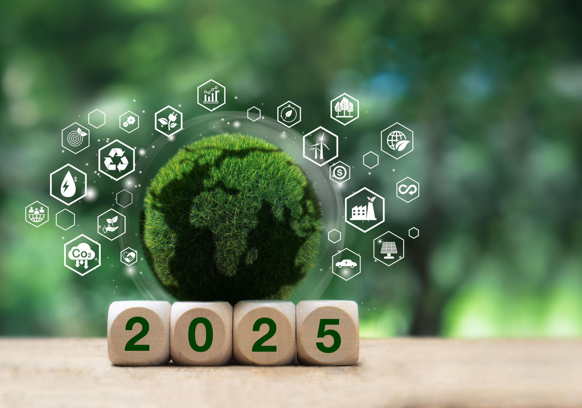 Sustainable Governance
