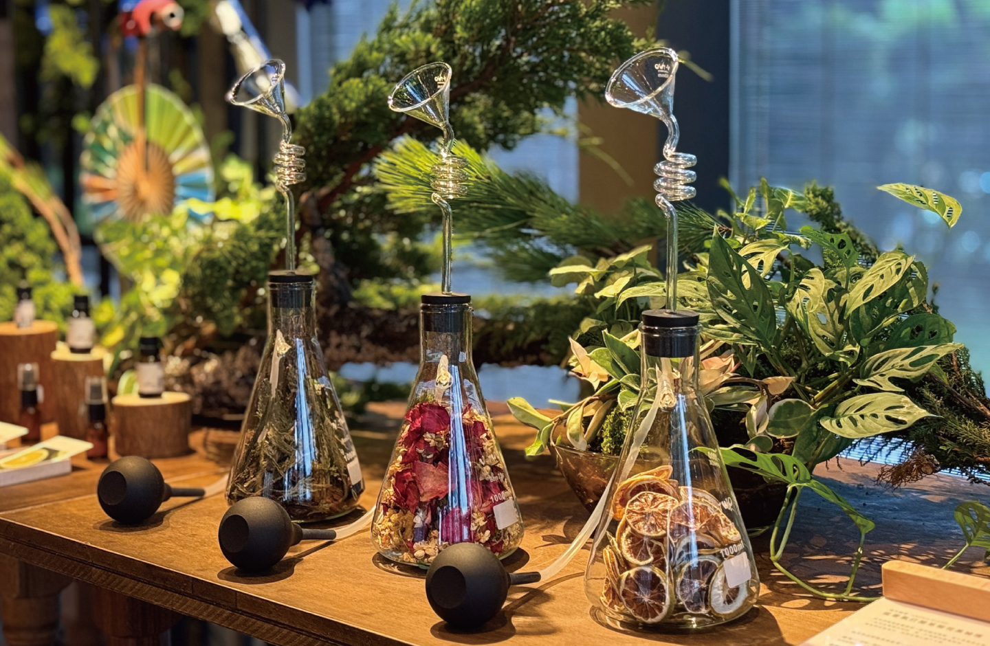 Wellspring by Silks Jiaoxi: Art and Scent for Holistic Wellness